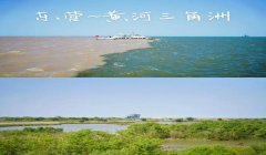 三角洲行动正版下载手机(给我三角洲行动的正版下载链接)
